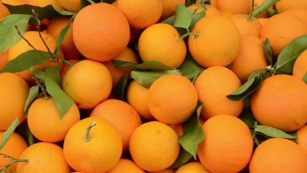 Φρέσκα Πορτοκάλια Στην Αγορά Φρούτων Κοντά Κουτιά Γεμάτα Ώριμα Πορτοκάλια — Αρχείο Βίντεο