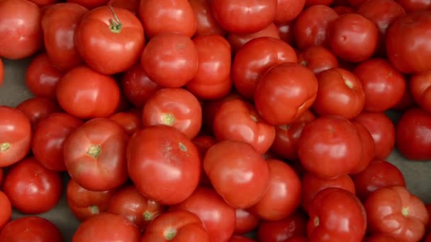 Pomodori Freschi Maturi Vendita Sul Mercato Agricolo — Video Stock