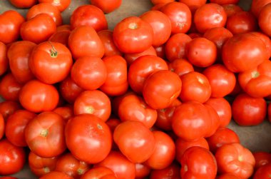 Çiftçi pazarında taze taze domates satışı..