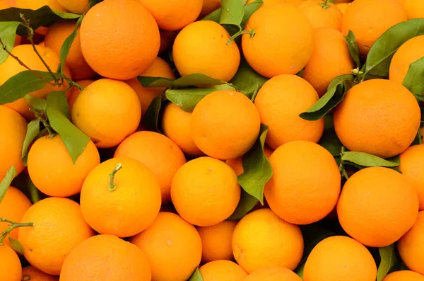 Laranjas Orgânicas Frescas Mercado Frutas Vista Close — Fotografia de Stock