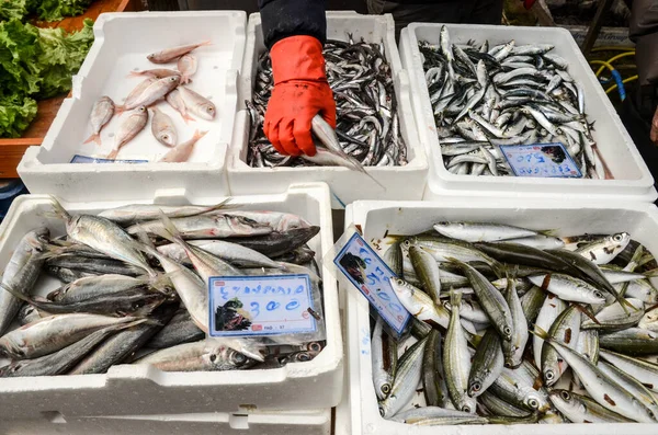 Взять Рыбу Вручную Продажи Местном Рынке — стоковое фото