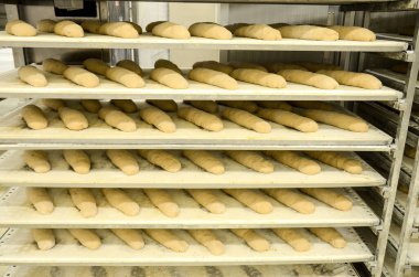 Fırın üretiminde pişmemiş ekmeğin yakın plan görüntüsü