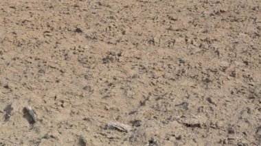 Taze sürülmüş tarlalar ilkbaharda tohum ekmek ve ekmek için hazır. Yeni mahsul için hazırlanmış boş tarlalar.. 