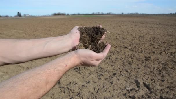 Hände Halten Frischen Boden Landwirtschaft Hintergrundkonzept — Stockvideo