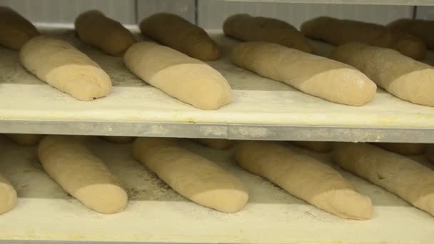 detailní pohled na tepelně neupravený chléb v pekařské výrobě