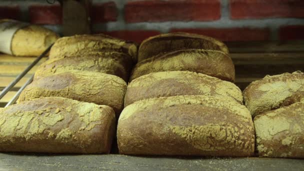 Vista Clausura Del Delicioso Pan Recién Horneado — Vídeos de Stock