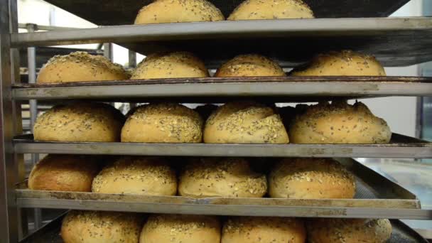 Κοντινή Θέα Του Φρέσκου Νόστιμου Ψημένου Ψωμιού — Αρχείο Βίντεο