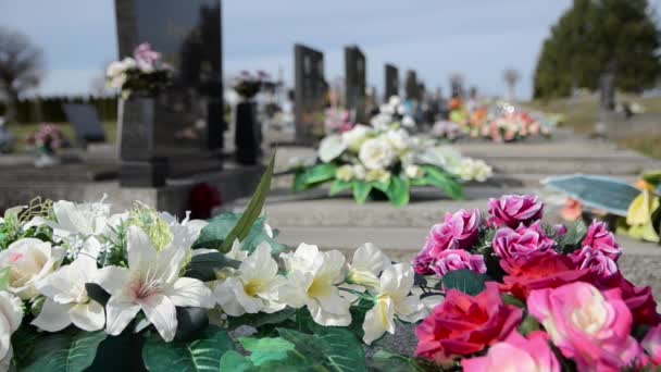 Кладбище Надгробиями Цветами Течение Дня — стоковое видео