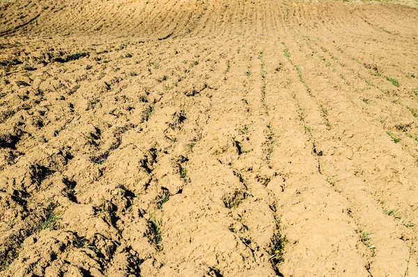 Tierras Labranza Vacías Preparadas Para Nuevo Cultivo — Foto de Stock