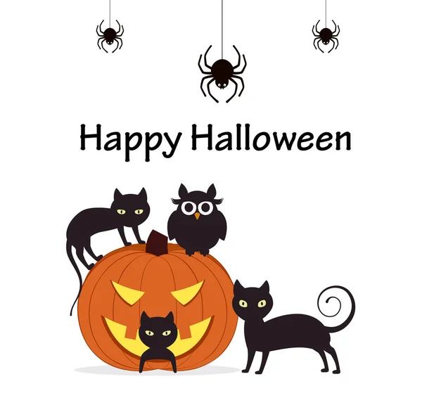 Fondo de Halloween. Calabaza con gatos, búho y arañas . — Vector de stock