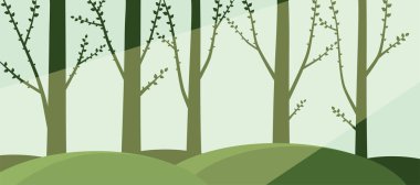 Güneş ormanı. Yaz ışık ışını ile ağaçlarda.