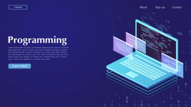 Geliştirme ve yazılım. Programlama, veri işleme kavramı.