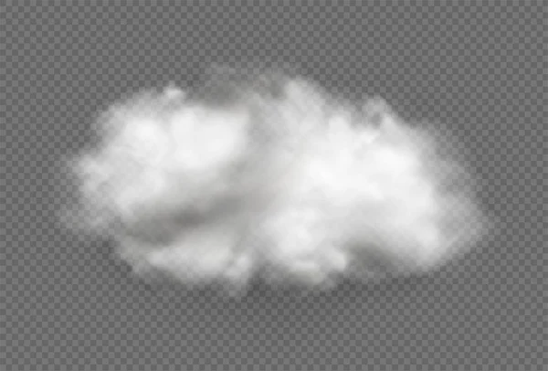 Cloud of fog, smoke, urban smog. Realistic isolated cloud on transparent background. — 스톡 벡터