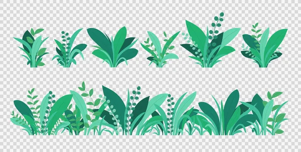 Hierba verde. Primavera y verano varias plantas, hierba y arbustos. Elementos naturales de hierba aislados sobre fondo transparente . — Vector de stock