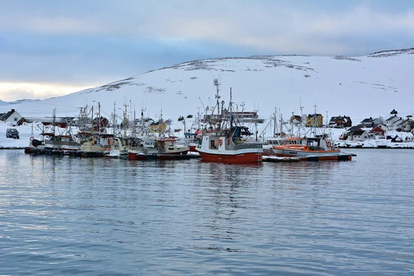 Skarsvag Aldeia Município Nordkapp Situa Longo Costa Norte Ilha Mageroya — Fotografia de Stock