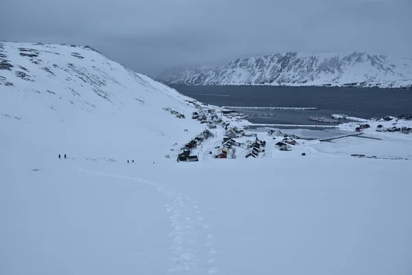 诺德卡普的Skarsvag村海湾上的房子五彩斑斓 周围是多雪的高山 — 图库照片