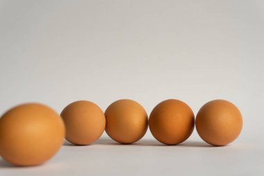 Beş taze kahverengi tavuk yumurtası arka planda çapraz olarak. Paskalya tatili, kopyalama alanı