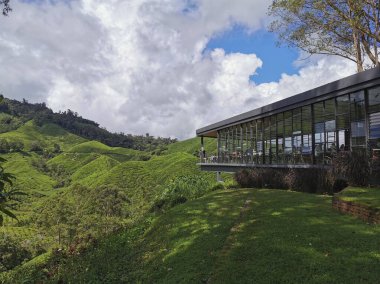Cameron Highlands, Pahang, Ma 'daki çay çiftliği ve kafe terasında.