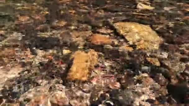 水晶般清澈的热带森林溪水和小石子的静止不动的近景清晰可见 — 图库视频影像