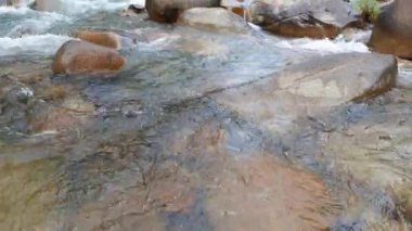 Nehrin kıyısında yeşil yaban yaprağı olan bir ormanda kristal berrak tropikal akımın durağan görüntülerini yukarı kaldır.. 