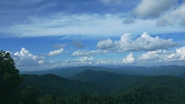 蓝天多云的茂密热带雨林的泛右空中景观 — 图库视频影像