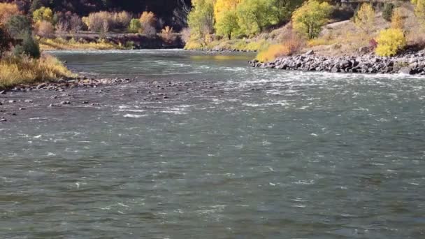 Río Colorado arroyo — Vídeos de Stock