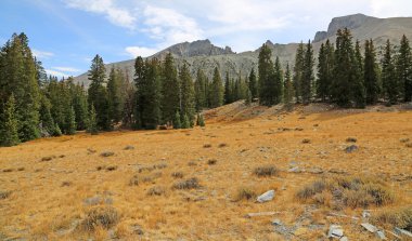 Büyük havza Np sonbahar çayır