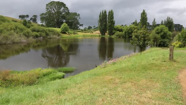 Landscape in Hobbiton — Stock Video