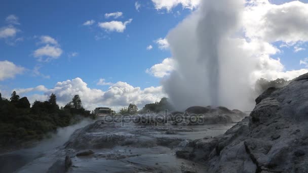 Pohutu geyser - Новая Зеландия — стоковое видео