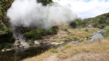 Waimangu Vadisi'nde sıcak Nehri