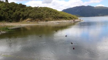 Rotomahana Gölü - Waimangu Vadisi