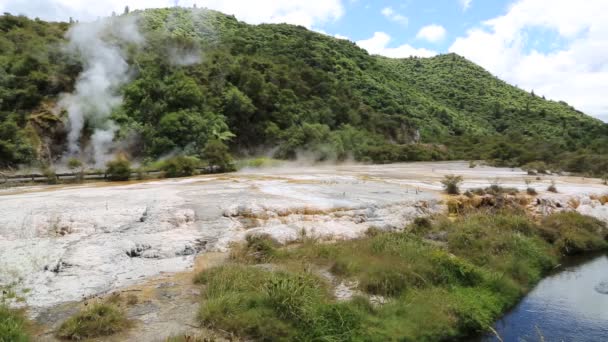 Waimangu vulkanische vallei — Stockvideo