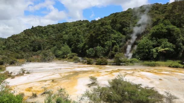 Colorido valle de Waimangu — Vídeo de stock