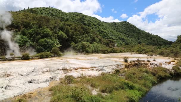 Sendero en el valle de Waimangu — Vídeo de stock