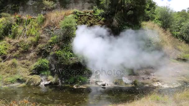 Primavera calda nella valle di Waimangu — Video Stock