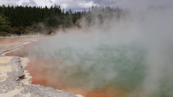 Wai-O-Tapu yedekte — Stok video