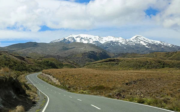 Weg naar Mt Ruapehu — Stockfoto