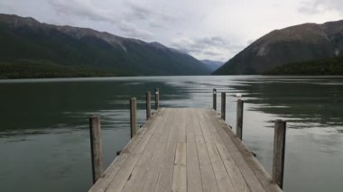 Siyah gagalı martı Rotoiti üzerinde
