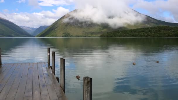 Vita idilliaca - Nelson Lakes NP — Video Stock