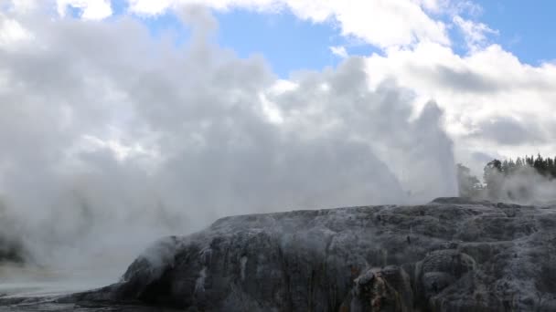 Извержение гейзера Похуту — стоковое видео
