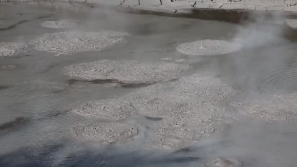 Пар над кипящей грязью — стоковое видео