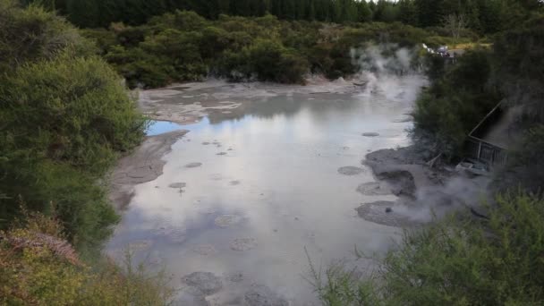 Вид на киплячий грязьовий басейн — стокове відео
