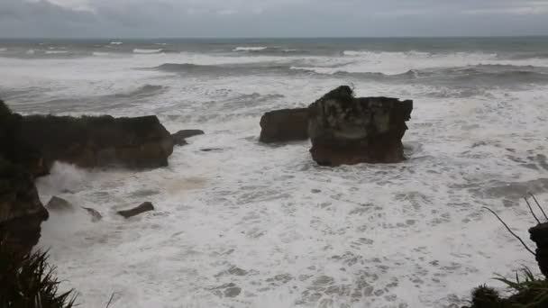 Tasmanhavet - nya Zeeland — Stockvideo