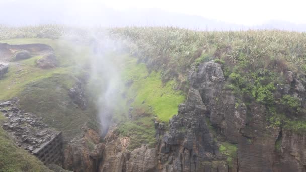 Blowhole - Nova Zelândia — Vídeo de Stock