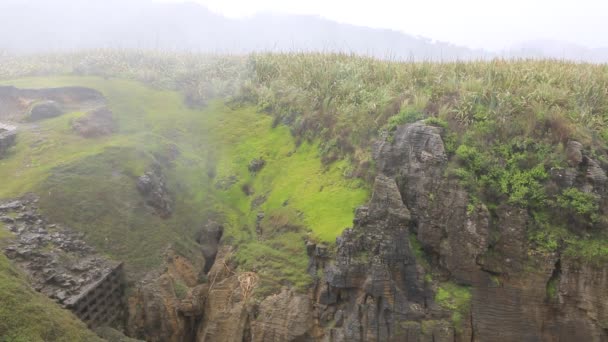 Pluie de la blowhole — Video