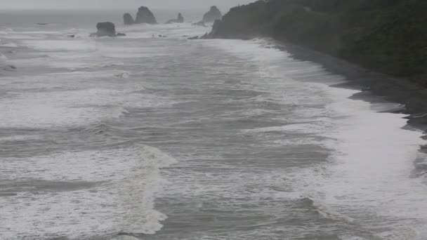 Zwarte strand op west coast — Stockvideo