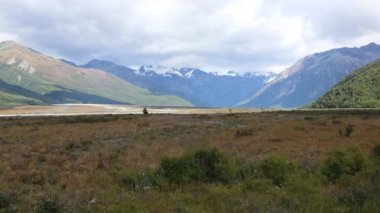 Waimakariri Vadisi - Yeni Zelanda