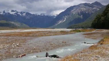 Waimakariri Vadisi Rüzgar