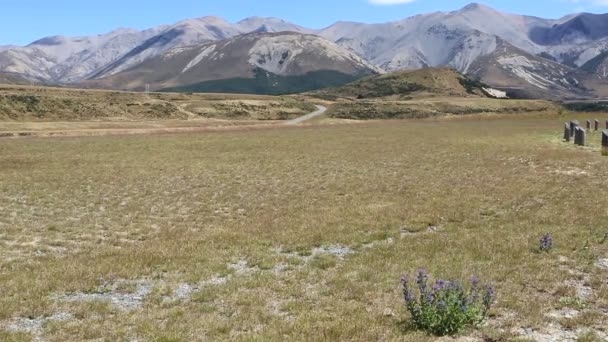 Reserva escénica del arroyo de la cueva — Vídeos de Stock