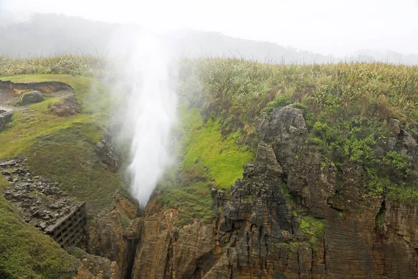 Dmuchanie wody - Paparoa Np — Zdjęcie stockowe